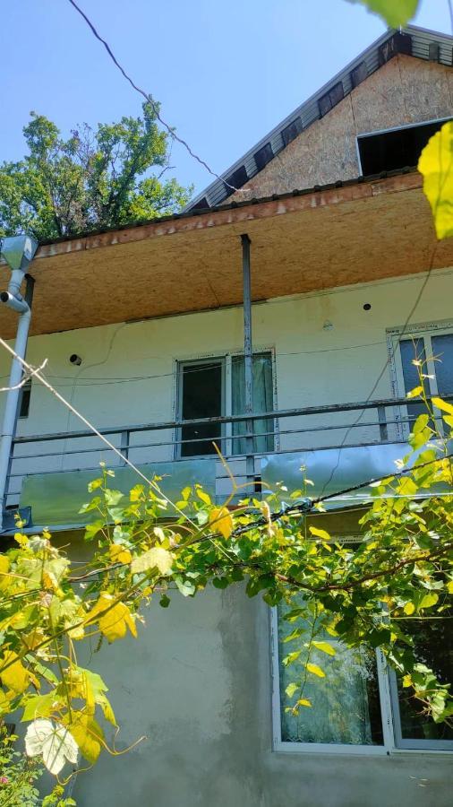 Guest House Gogias Cixe Bordżomi Zewnętrze zdjęcie