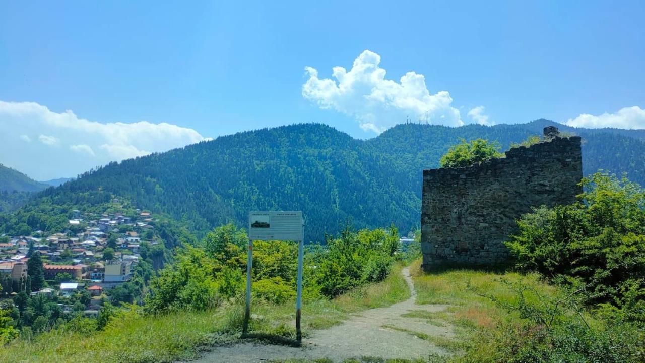 Guest House Gogias Cixe Bordżomi Zewnętrze zdjęcie