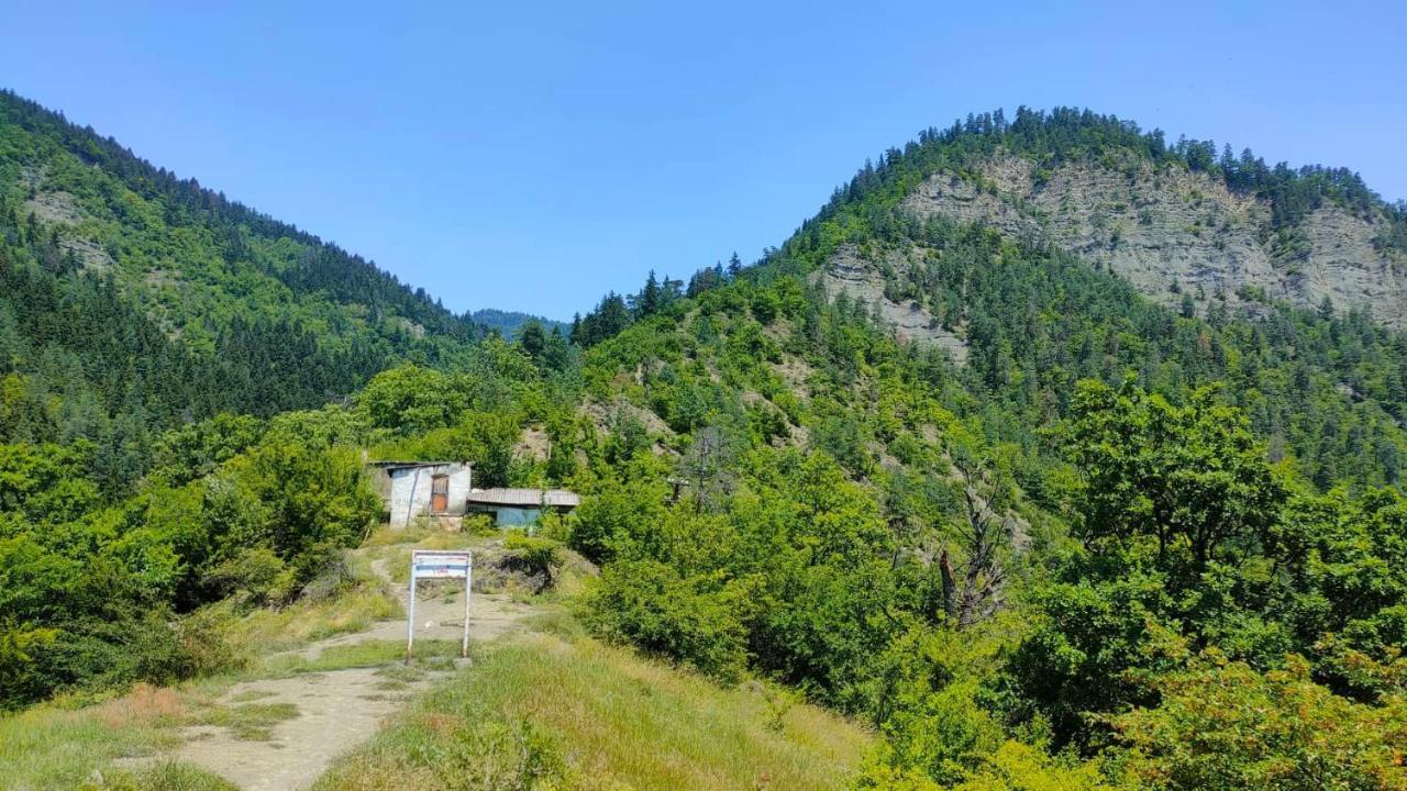 Guest House Gogias Cixe Bordżomi Zewnętrze zdjęcie
